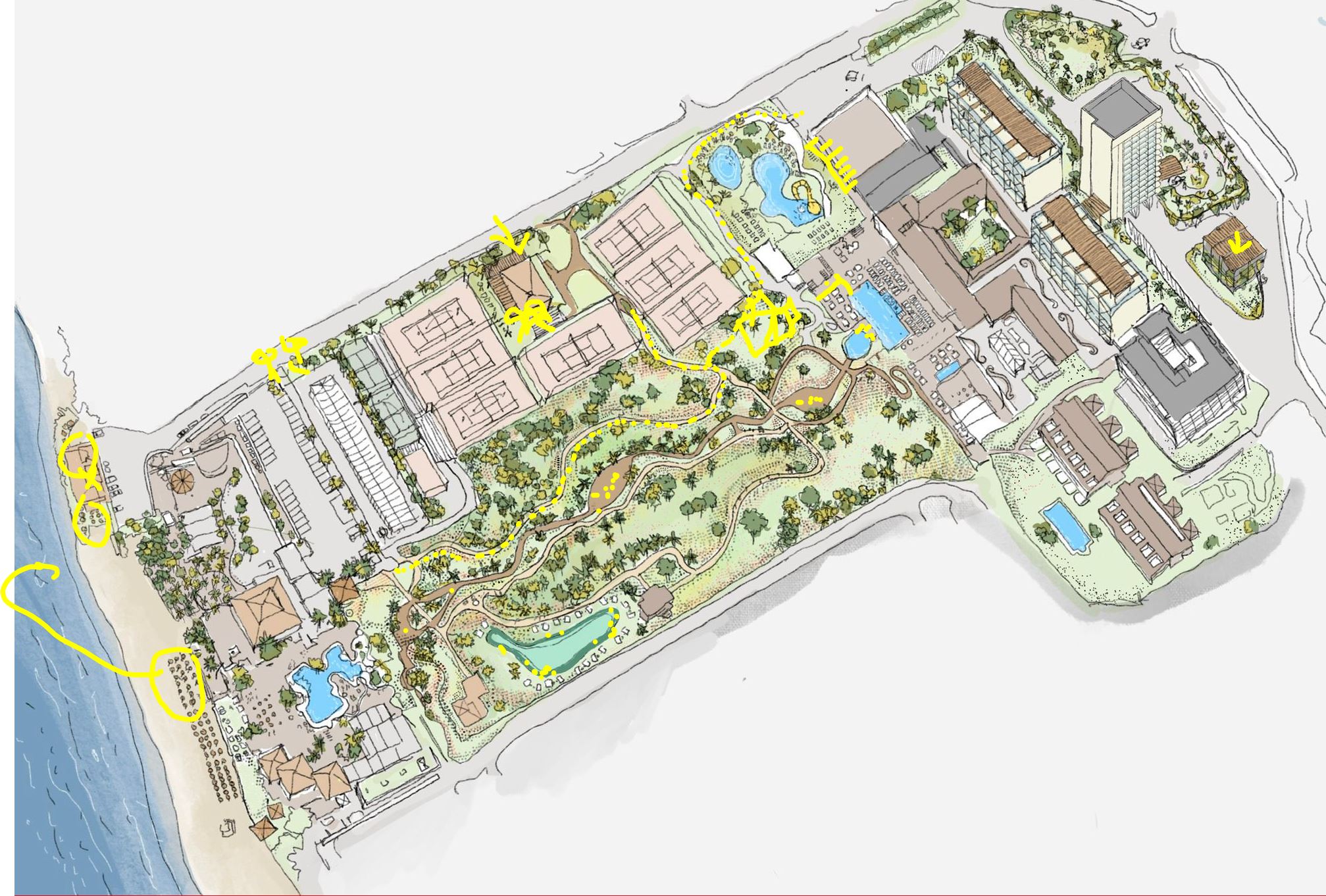 Notas de proyecto — Alicia Pelaez